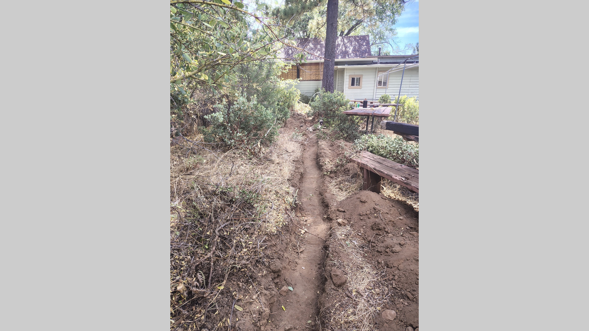 Foster Lodge trench