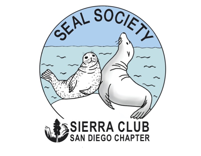 Seal Society of San Diego- Differences between seals and sea lions - Sierra  Club San Diego