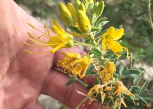 Nature Knowledge Workshop