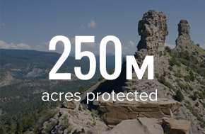 250 Million Acres Protected