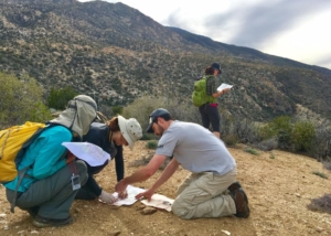 Wilderness Basics Course