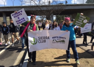 Politics and Activism